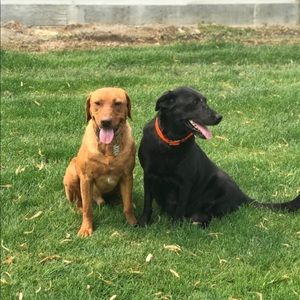 Meet your Posher, Hailey